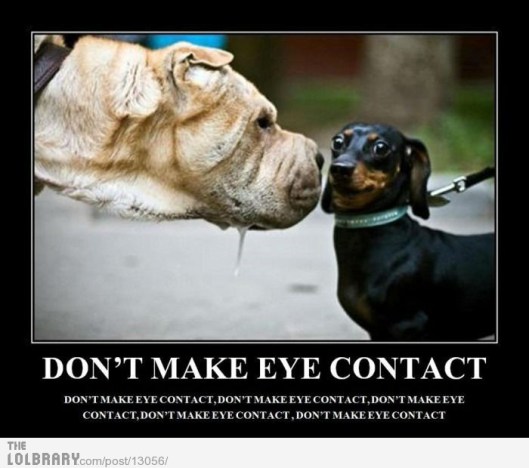 dont-make-eye-contact-13056